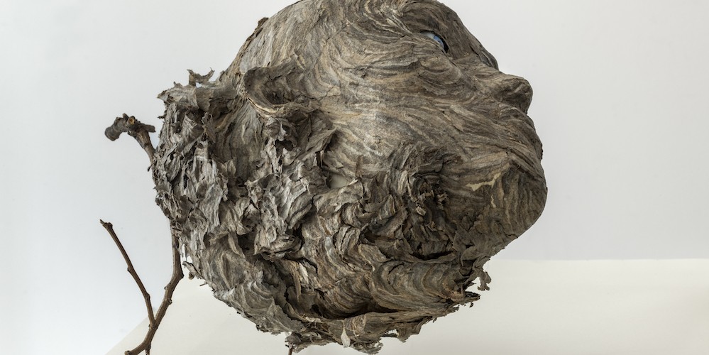 Valerie Hammond, ‘Nest,’ (12½ x 13 x 11 inches, Hornet's nest, Japanese paper, twigs, and glass, 2022). Photo credit: Cary Whittier; Courtesy Planthouse gallery.