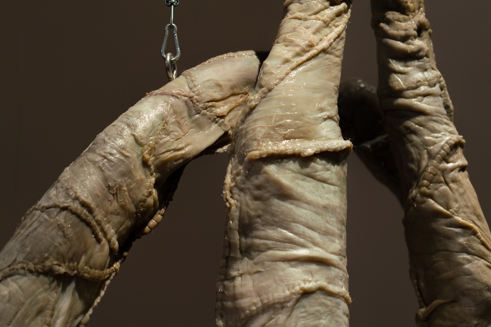 Detail view of Anna Ting Möller '23, 'In Tandem,' (2025, Kombucha, chicken wire, plaster clay, epoxy, epoxy clay, plastic tube, nylon thread, ribbon, metal, water, Arduino hardware, latex/acrylic tubes, mist nostrils. As installed in 'Dirty & Disorderly: Contemporary Artists on Disgust' at MASS MoCA, North Adams, MA (on view beginning February 1, 2025) Photo: Kaelan Burkett) Close up of sculptural art.