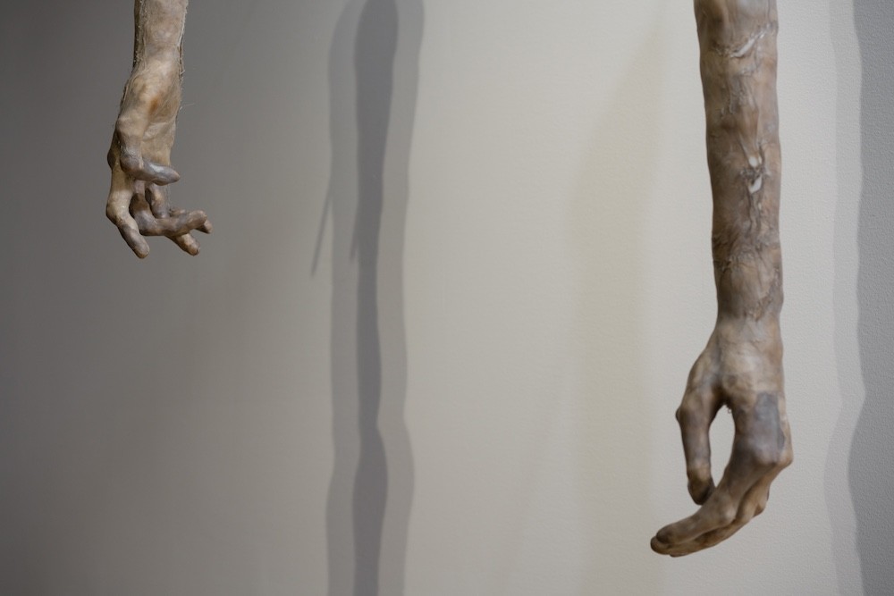 Installation view of Anna Ting Möller '23, 'Slut Station,' (2023. Kombucha, porcelain, nylon, steel metal. Arm dimensions (each): 49 x 7 x 5 in. As installed in 'Dirty & Disorderly: Contemporary Artists on Disgust' at MASS MoCA, North Adams, MA (on view beginning February 1, 2025) Photo: Kaelan Burkett) sculptural limbs hang from a ceiling