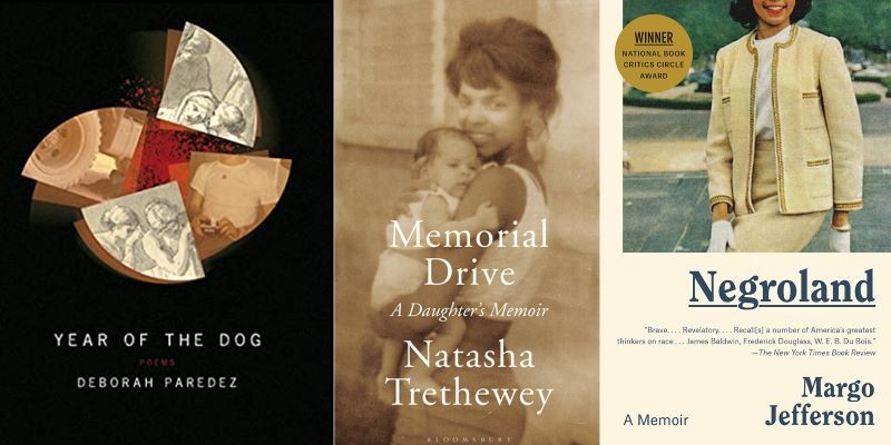 Book covers, left to right: 'Year of the Dog' 'Memorial Drive' 'Negroland'