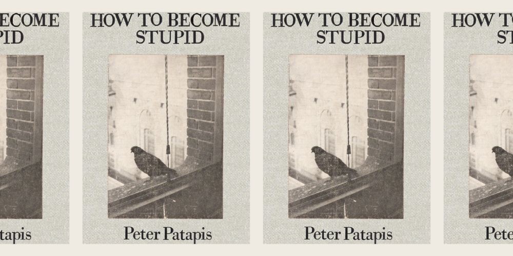 Collage of book cover "How to Become Stupid"