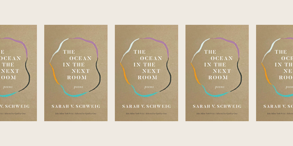 Book cover of 'The Ocean in the Next Room'
