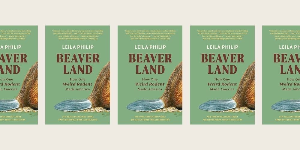 collage of book cover "beaverland"