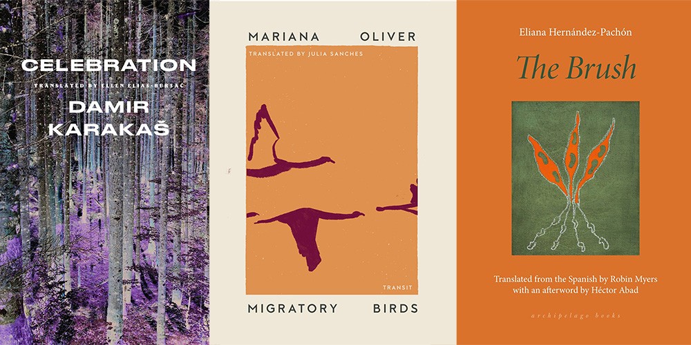 From L-R: CELEBRATION by Damir Karakaš, trans. by Ellen Elias-Bursać, MIGRATORY BIRDS by Mariana Oliver, trans. by Julia Sanches, THE BRUSH by Eliana Hernández-Pachón, trans. by Robin Myers