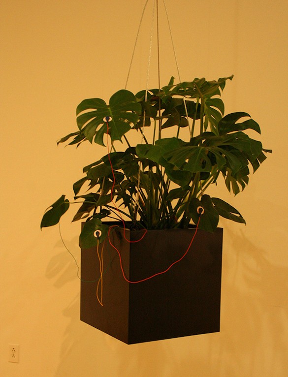"O Plant!" for houseplants, electronics and human interaction, Temple Contemporary, Fall, 2018. Plant art