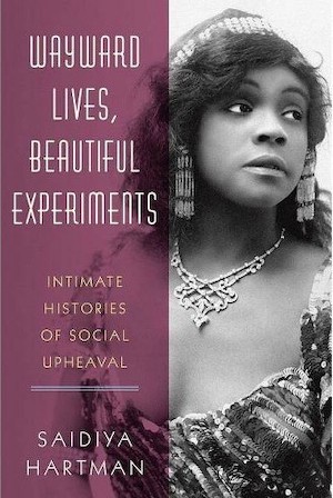 Wayward Lives, Beautiful Experiments Book Cover