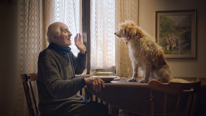 An elderly man with a dog in the kitchen 