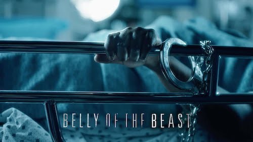 stills from "Belly of the Beast"