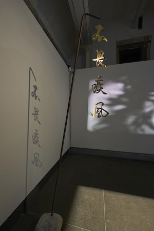 Video projection of Chinese characters
