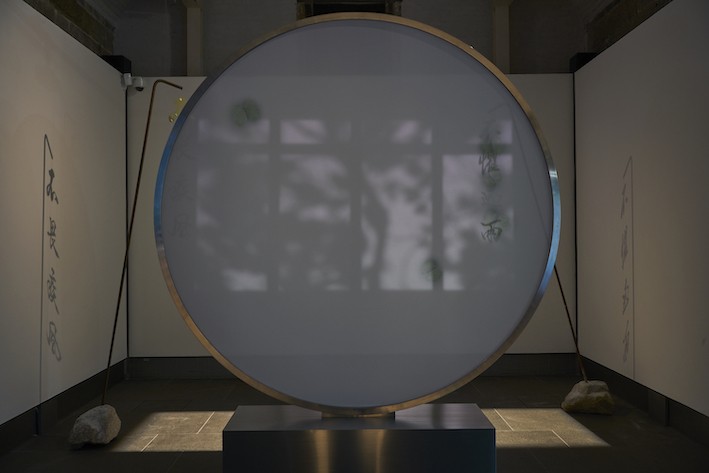 A circle with projections of leaves
