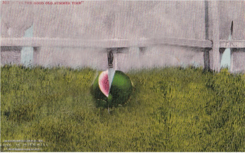 image of watermelon in a field