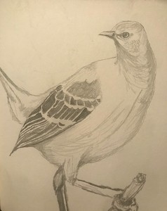  'Mockingbird' by Mark Gregory Lopez