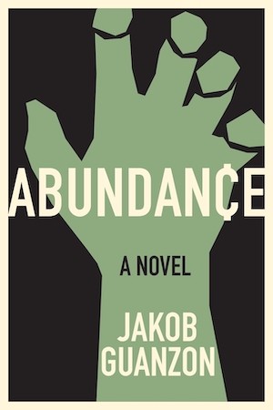 Abundance Book Cover