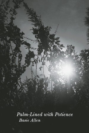 BW book cover, branches and sunlight