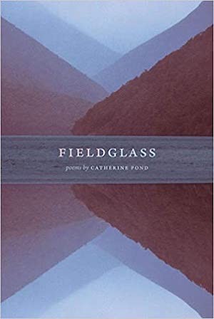 Book cover of Fieldglass